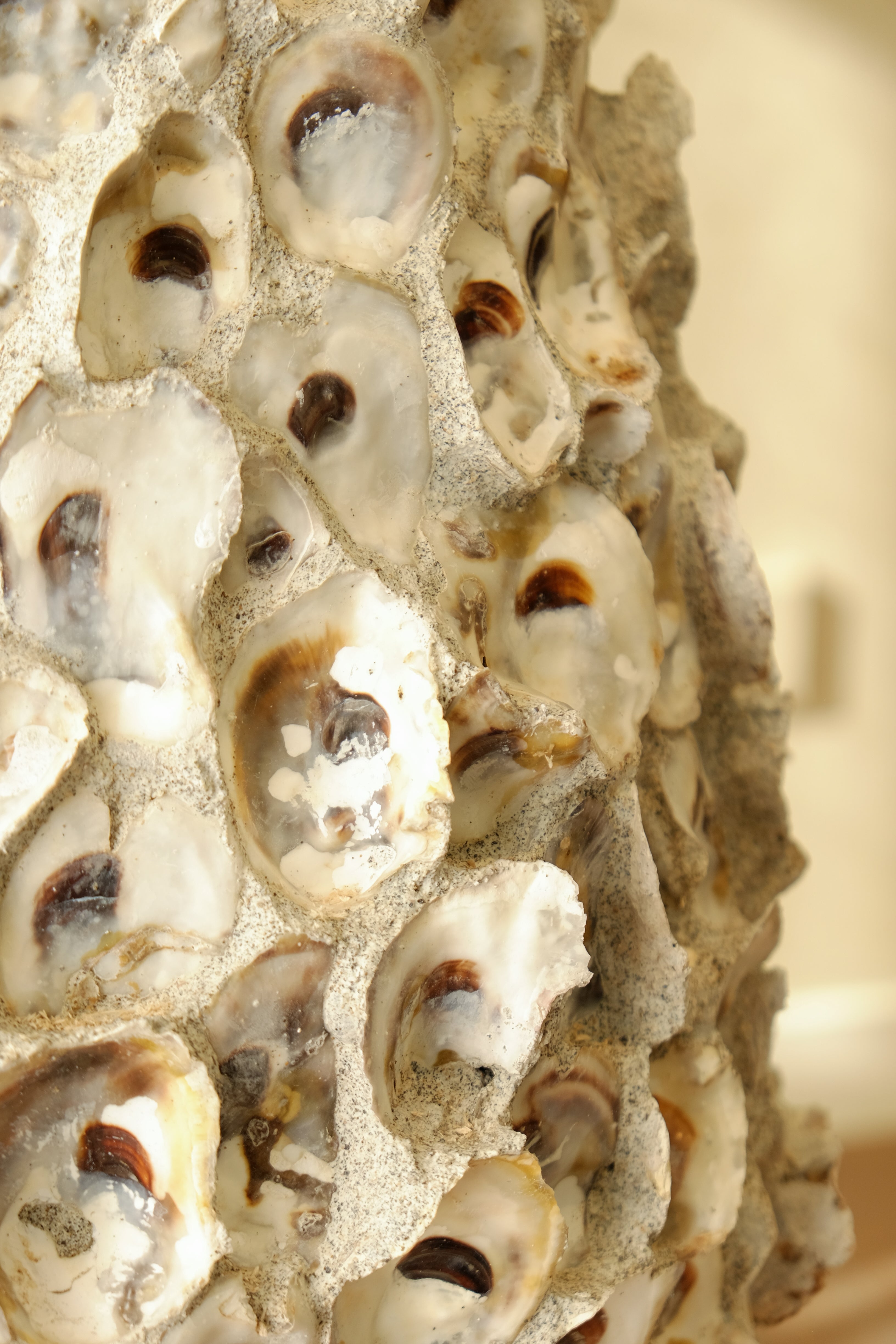 Oyster Shell Pot Tall natural texture