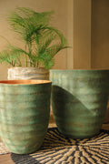 Pot Marina - Kelp Green
