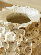 Oyster Shell Pot Medium profile