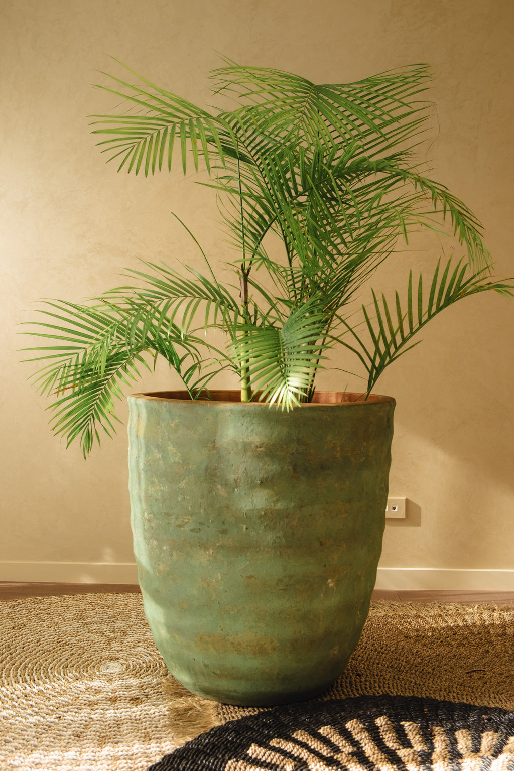 Pot Marina - Kelp Green