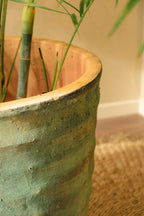 Pot Marina - Kelp Green