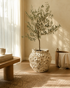 Oyster Shell Pot Medium