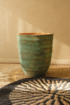 Pot Marina - Kelp Green