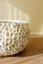 Oyster Shell Pot Large shell texture