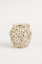 Oyster Shell Pot range