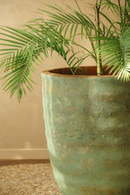 Pot Marina - Kelp Green