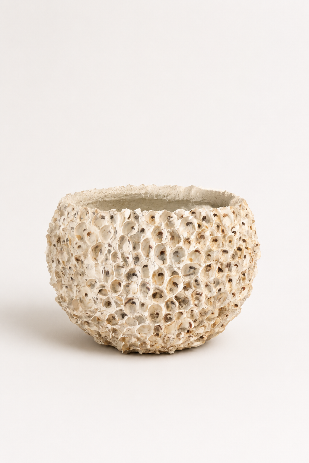 Oyster Shell Pot Large
