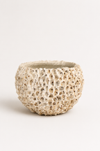 Oyster Shell Pot Large