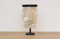 Light White Shell on Stand