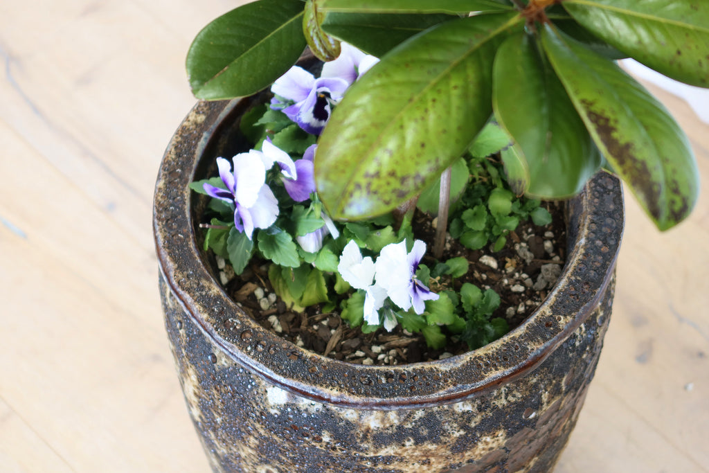 Atlantis Glaze Pot Blue/Brown