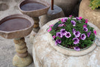 Organic Stone Bird Bath