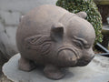 Pig Terracotta