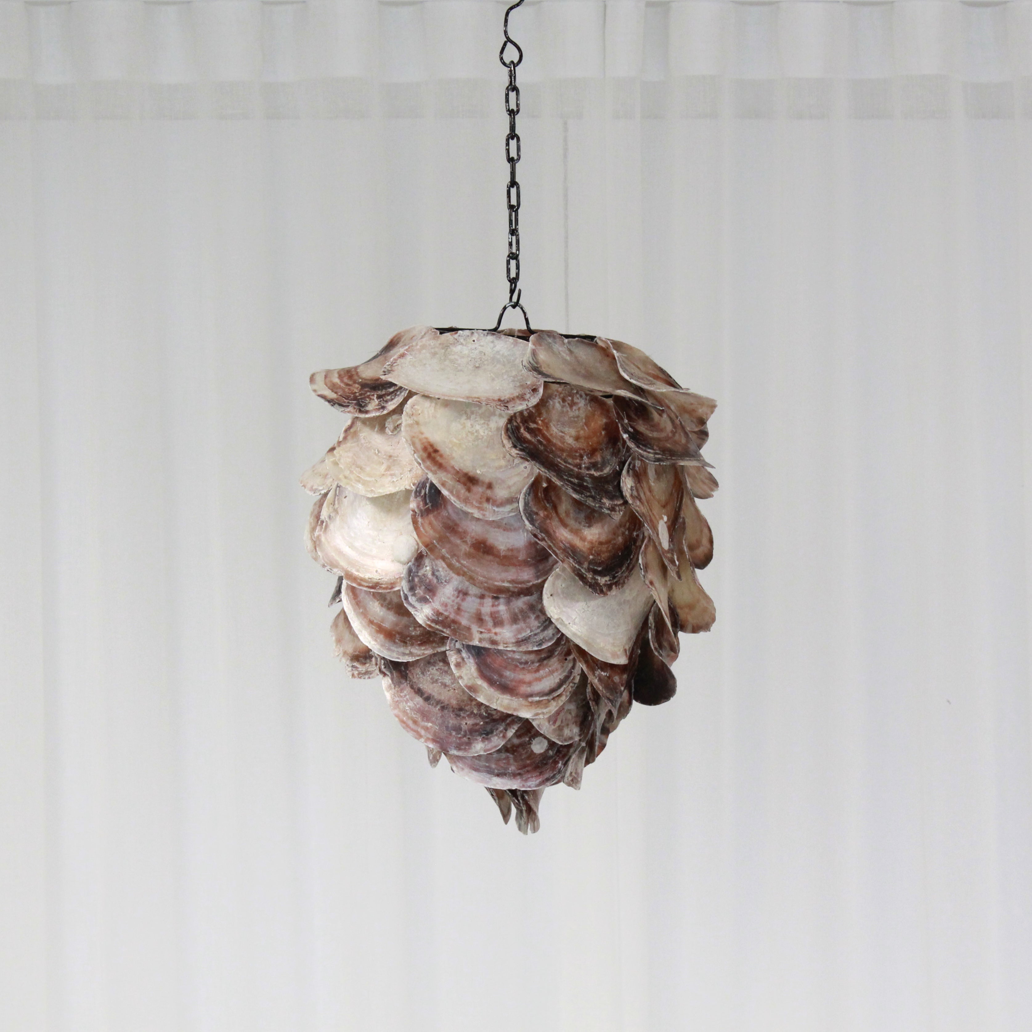 Lamp Hanging Shell Mixed Colours Small