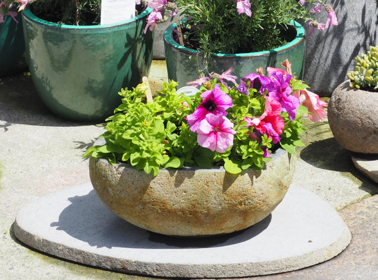 Organic Stone Pot Medium (With hole added)