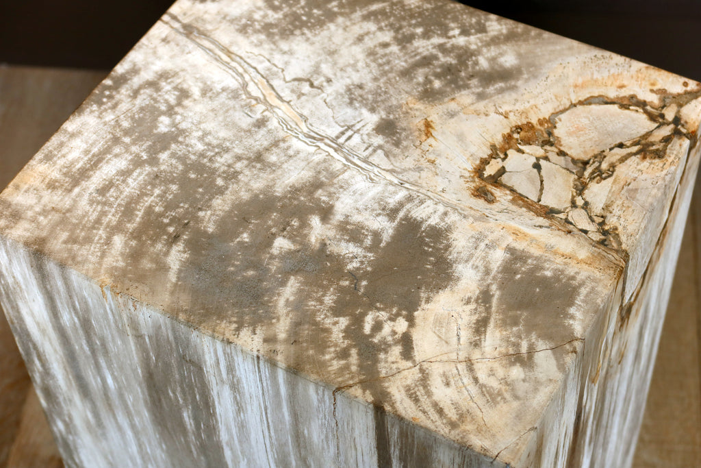 Petrified Wood Solid Pedestal