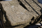 Stepping Stone Pavers with Frangipani Carving