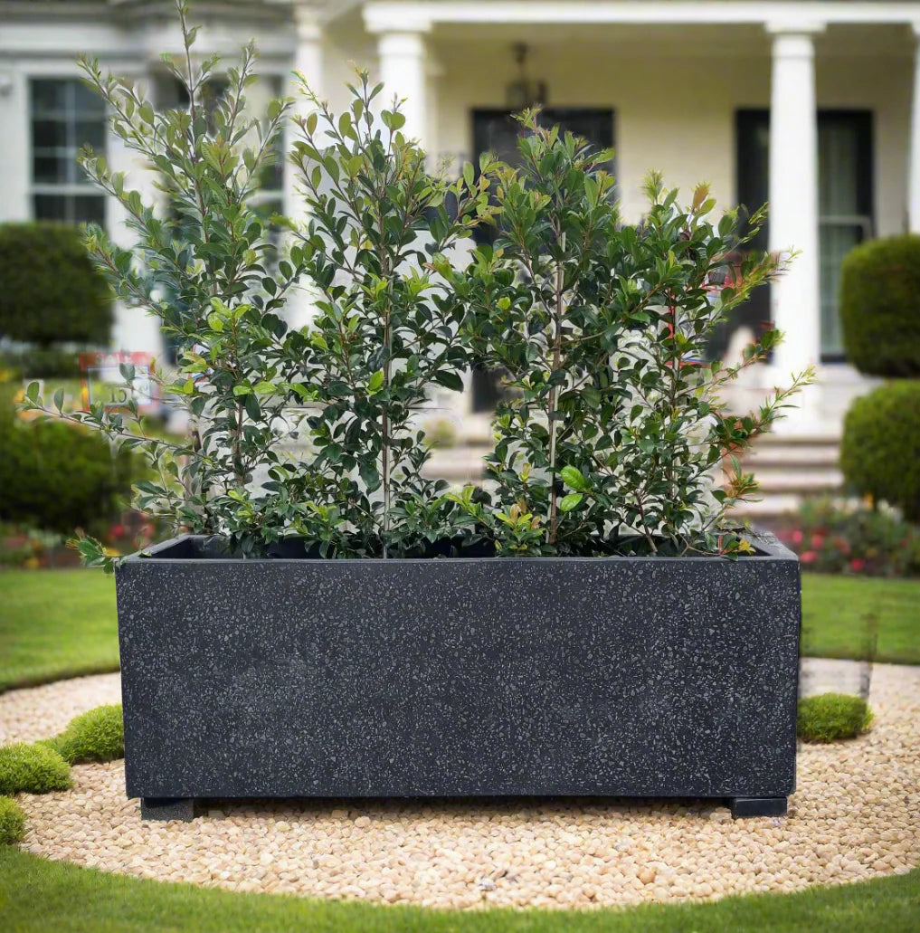 Trough Black Terrazzo