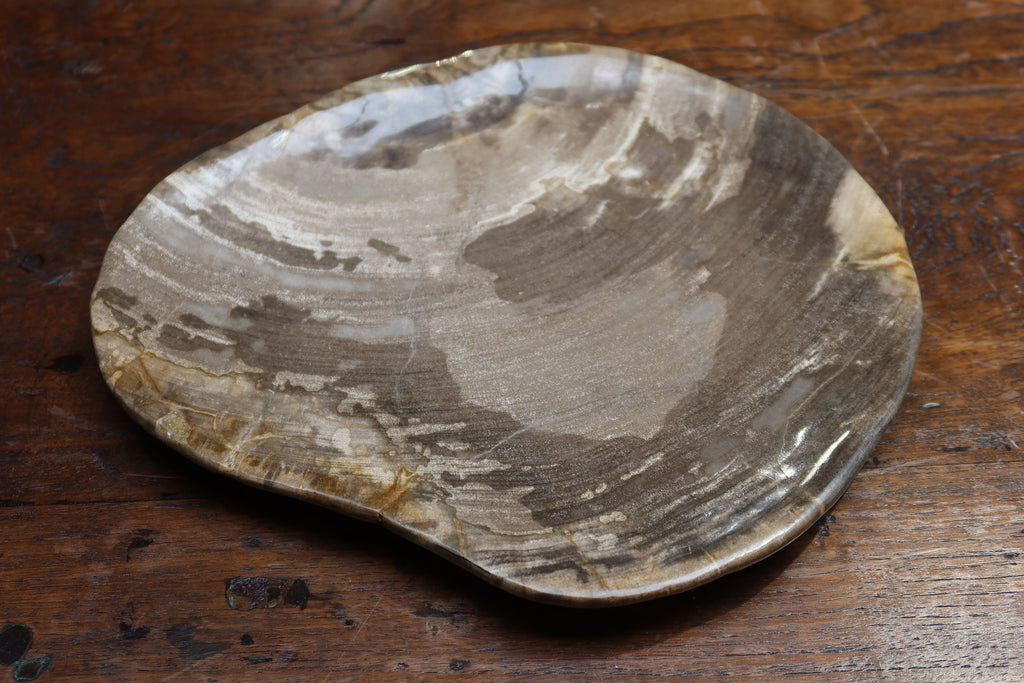 Petrified Wood Plate Medium