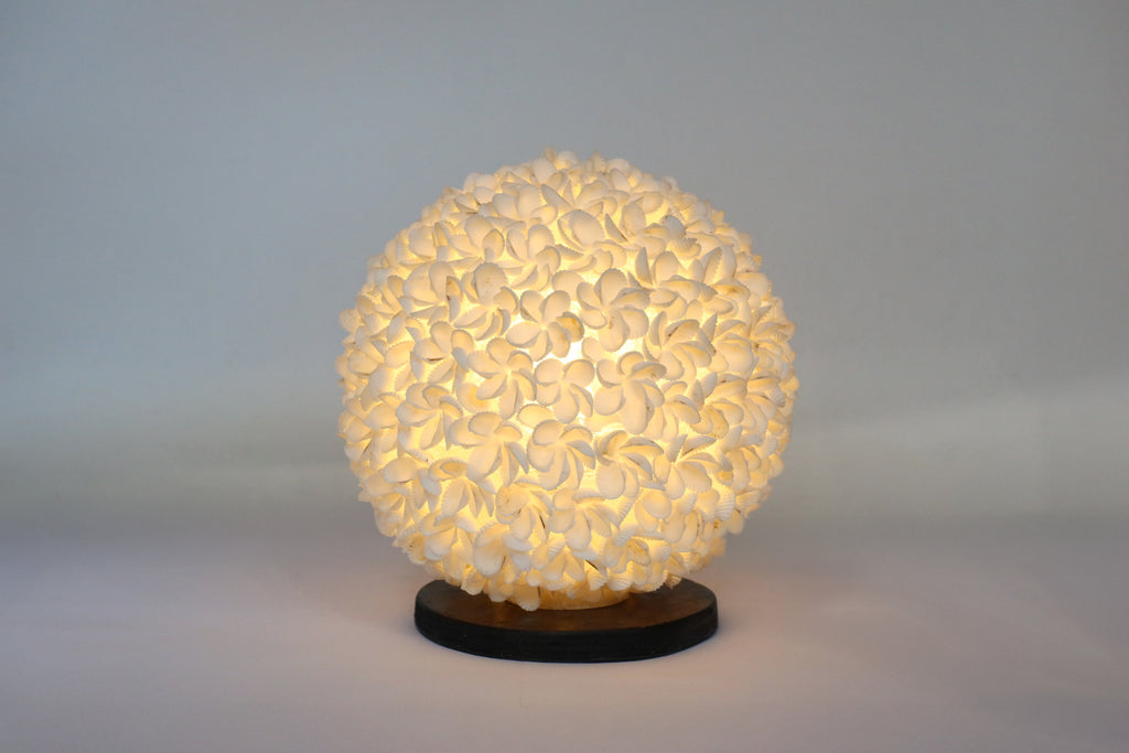 Lamp Shell Flower Design Ball