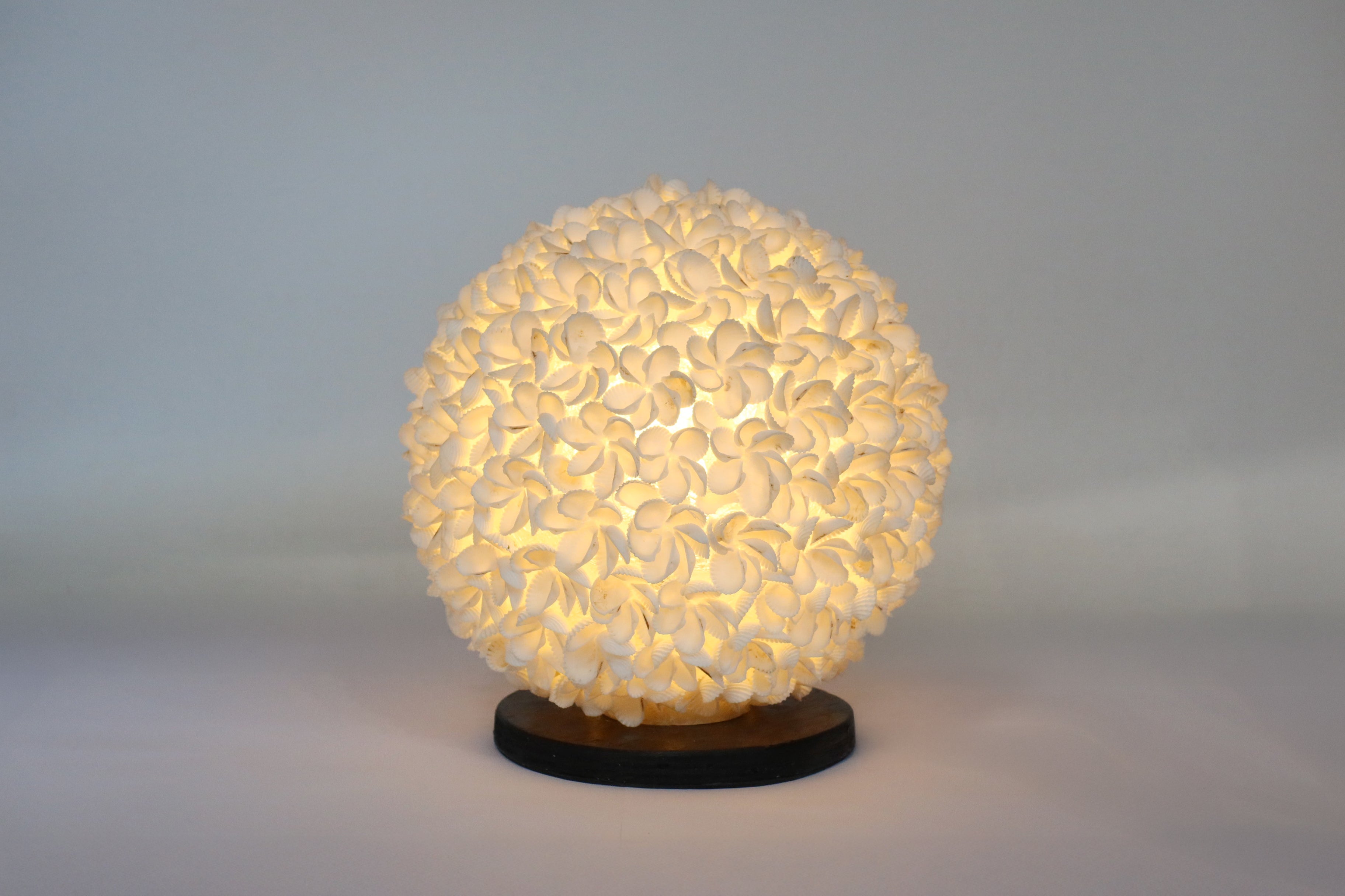 Lamp Shell Flower Design Ball