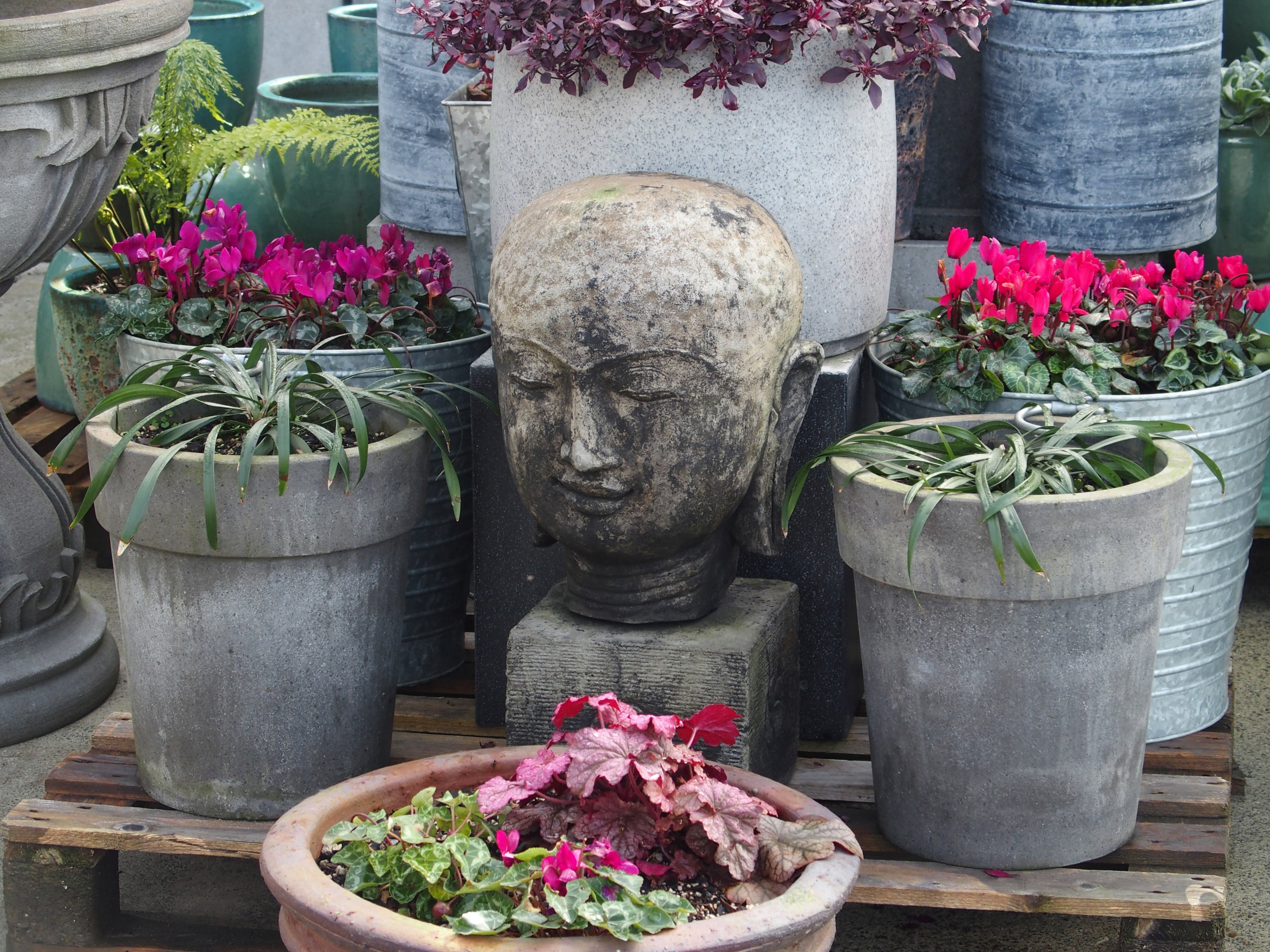 Buddha Head Bald on Stand