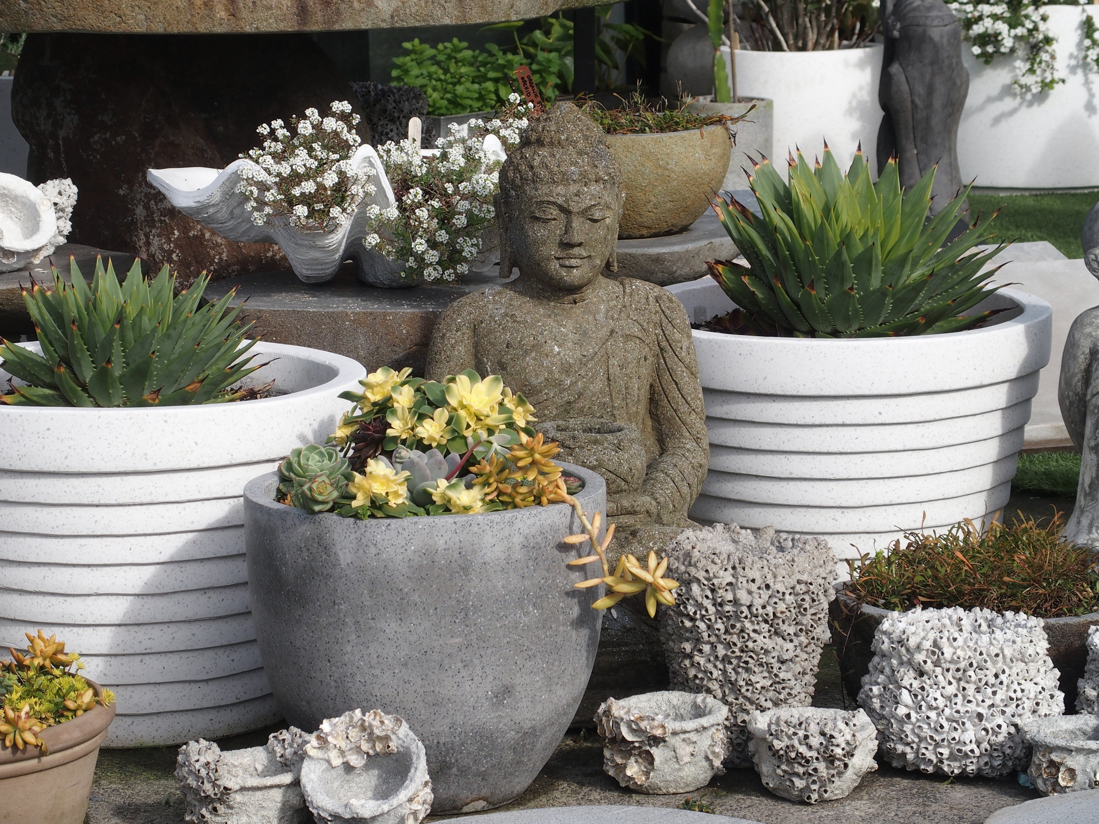 Buddha Sitting with Pot
