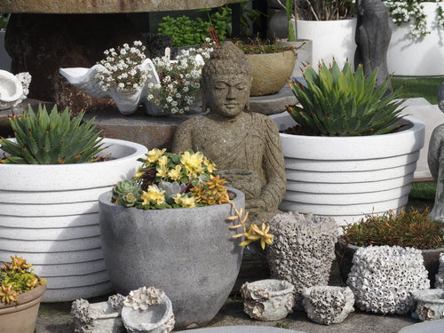 Buddha Sitting with Pot