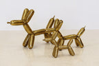 Dog Kootz