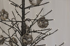 Gunmetal Tree Spruce