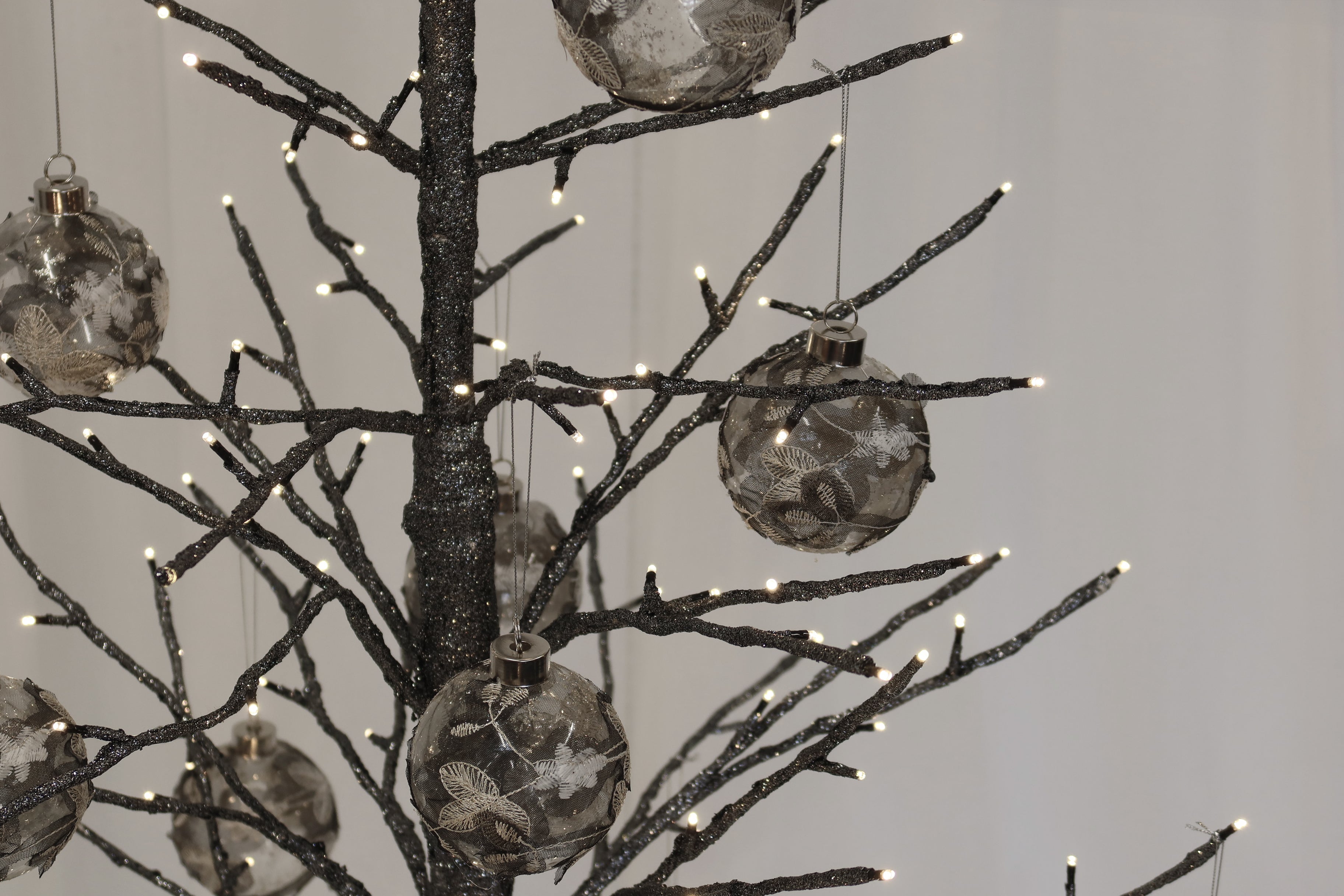 Gunmetal Tree Spruce