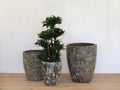 Atlantis Glaze Pot Grey