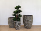 Atlantis Glaze Pot Grey