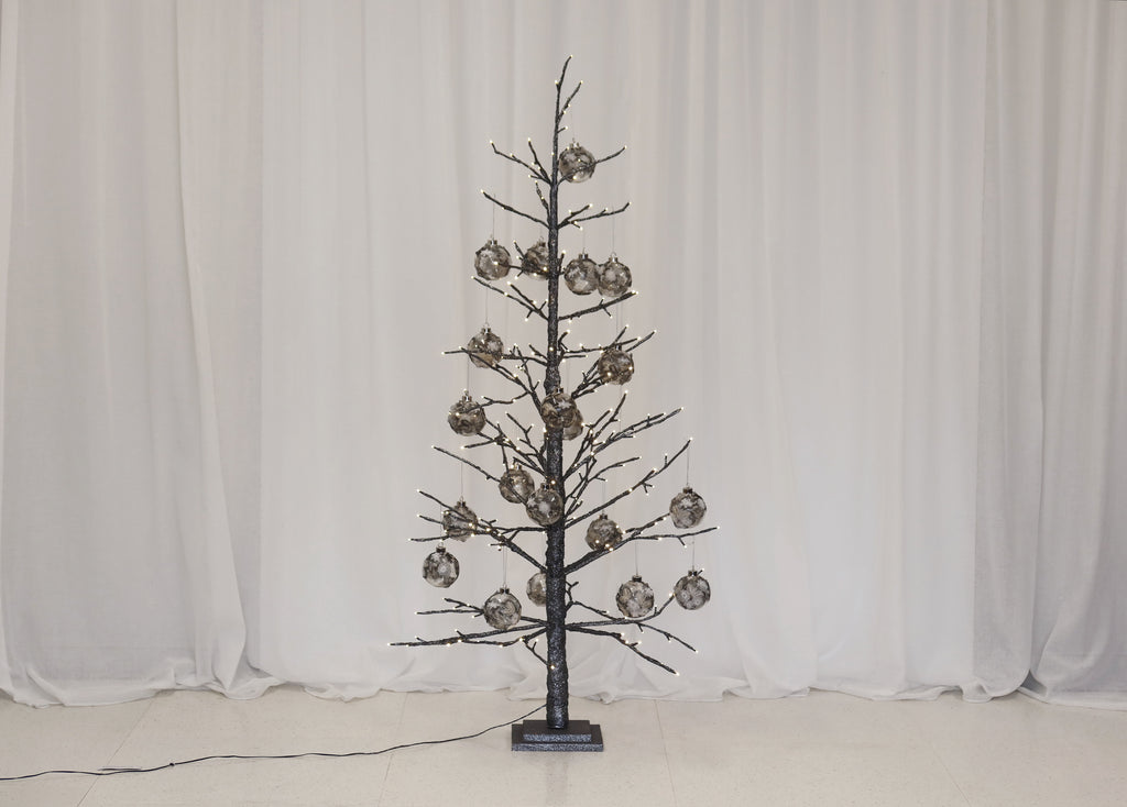 Gunmetal Tree Spruce