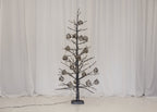 Gunmetal Tree Spruce