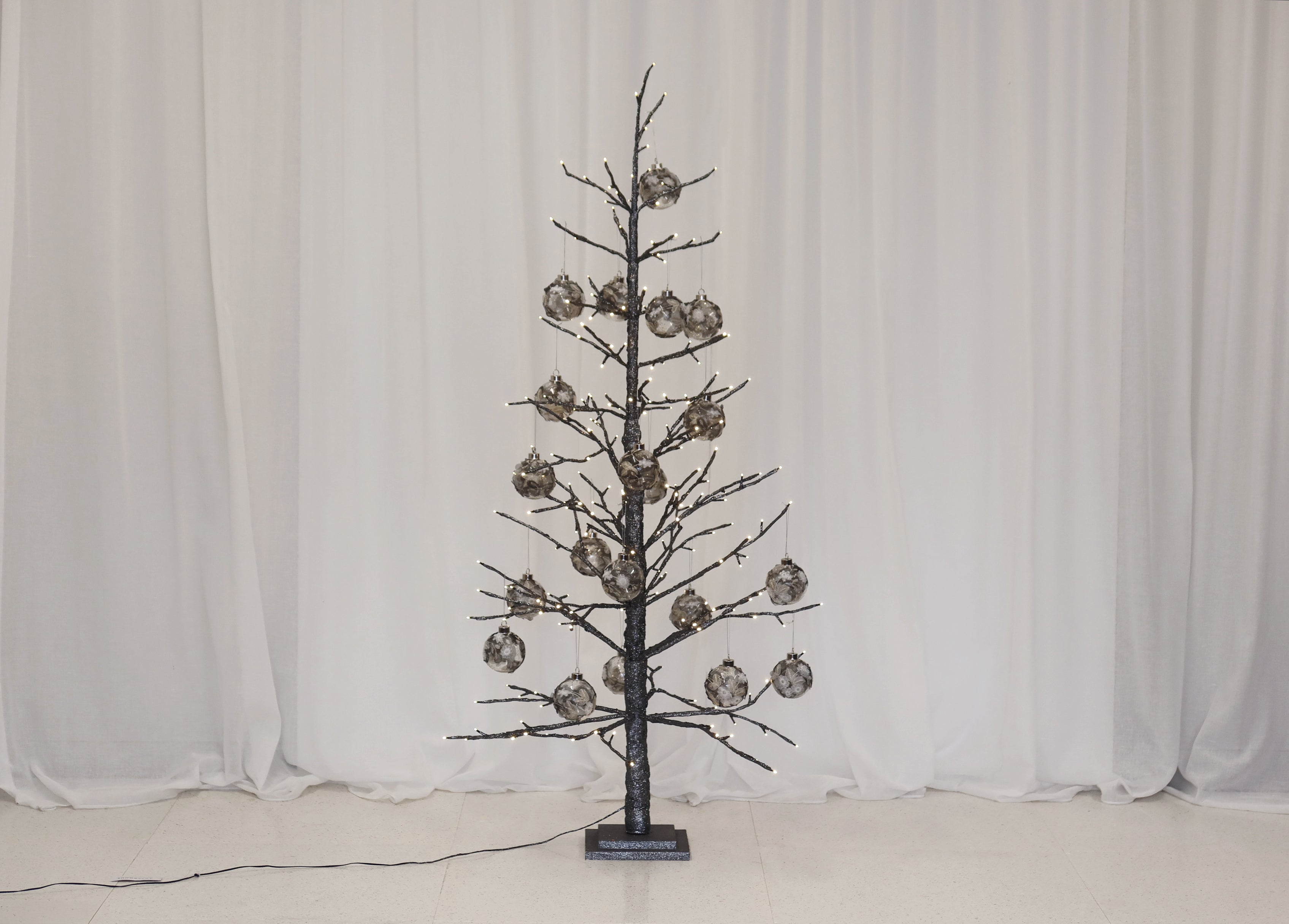Gunmetal Tree Spruce