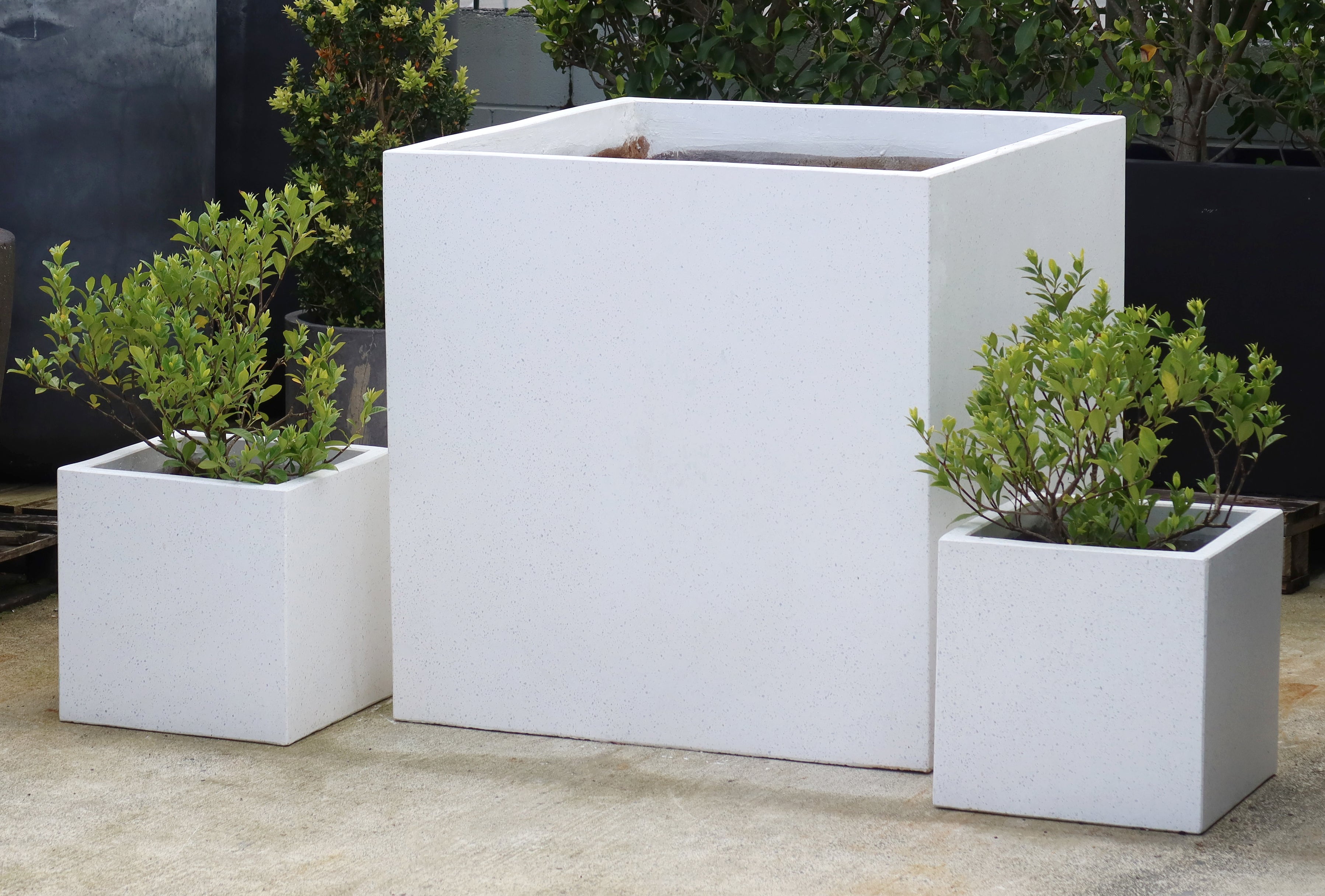 Square Terrazzo