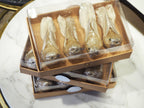 Jasper Birds Champagne with Ivory tail
