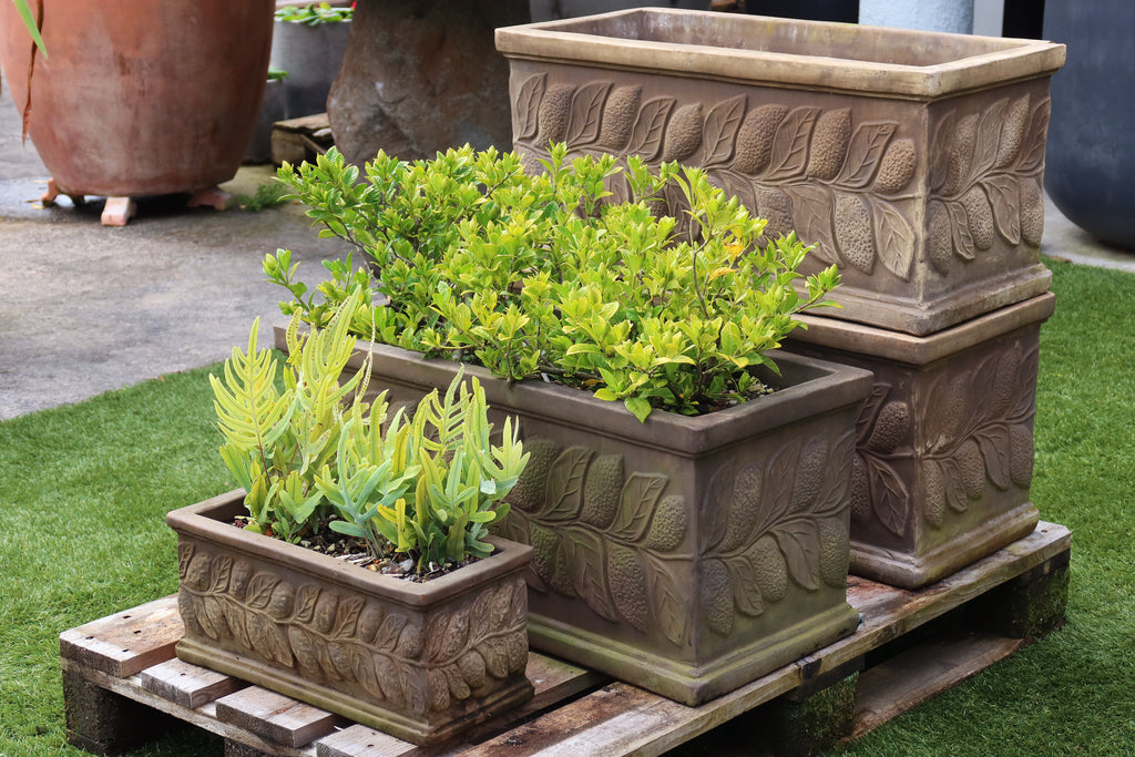 Terracotta Trough Wreath