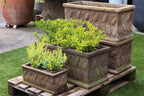 Terracotta Trough Wreath