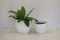 Sloping Pot