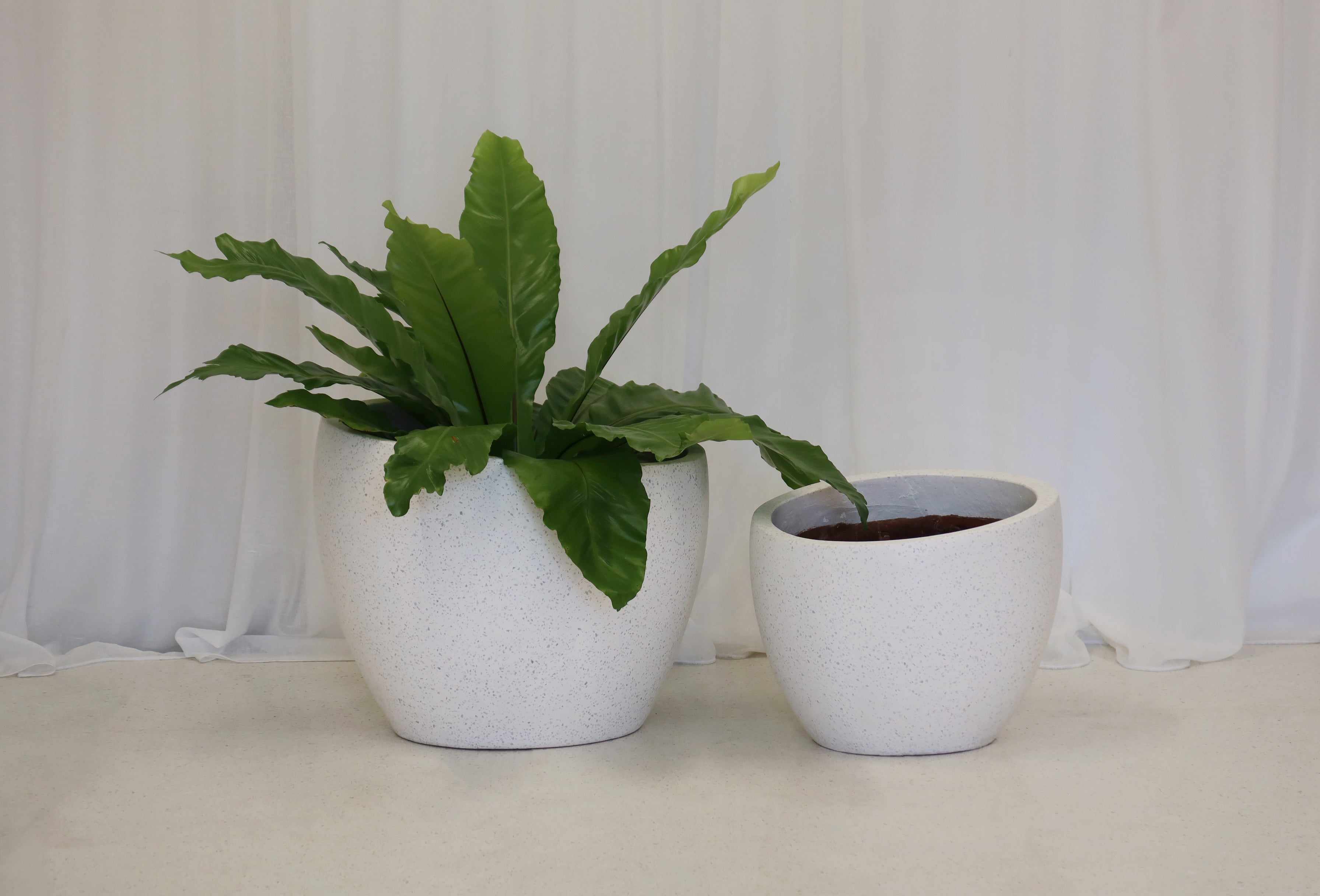 Sloping Pot