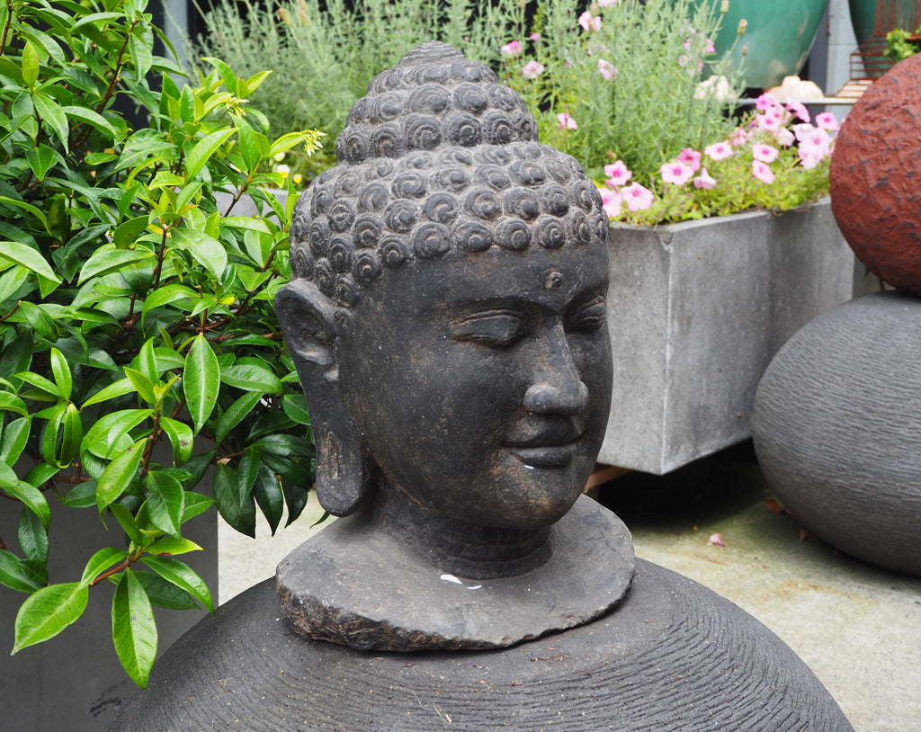 Buddha Head
