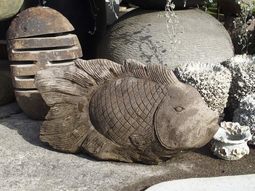 Fish Stone Large