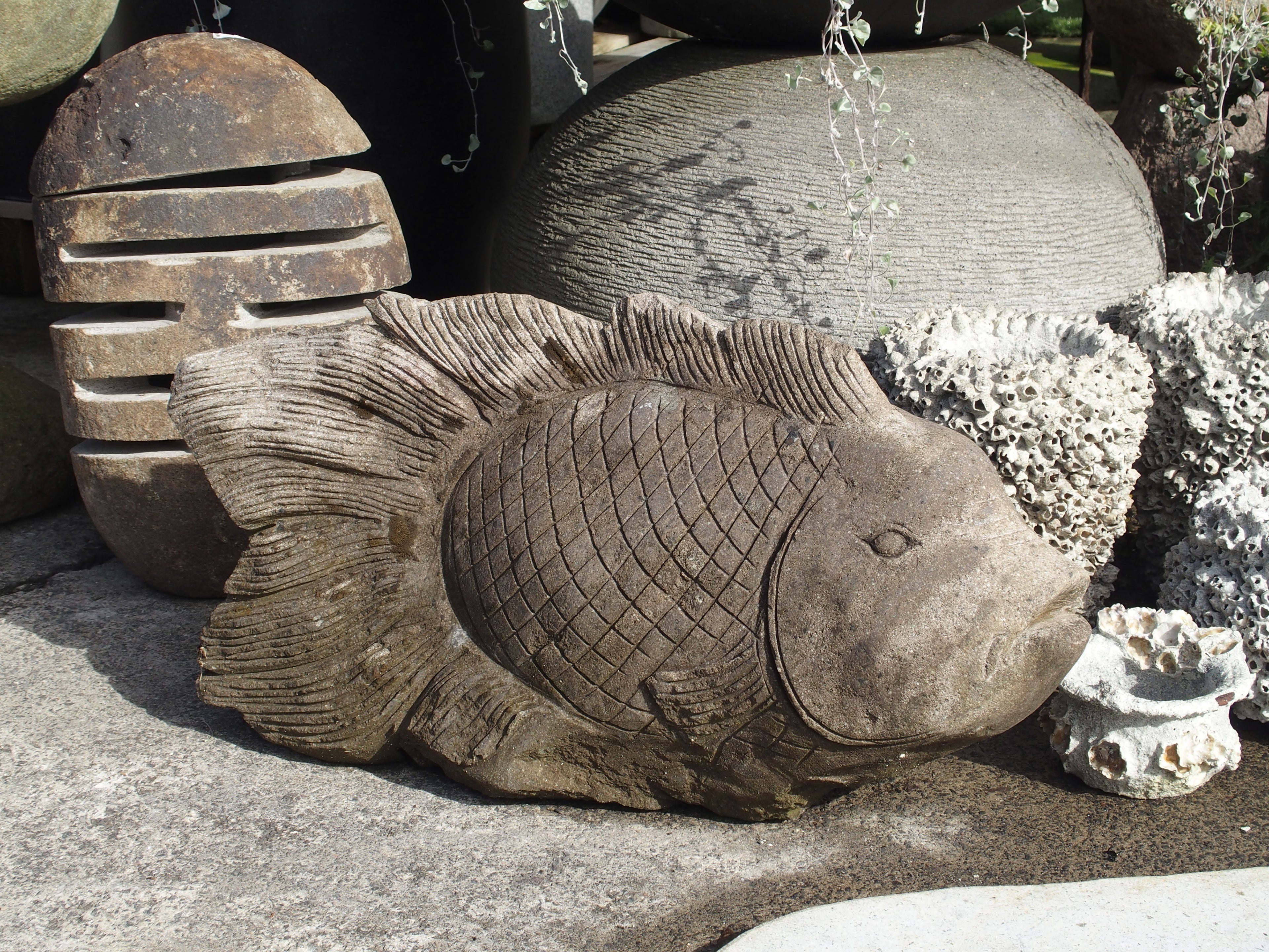 Fish Stone Large