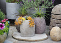 Organic Stone Pot Medium