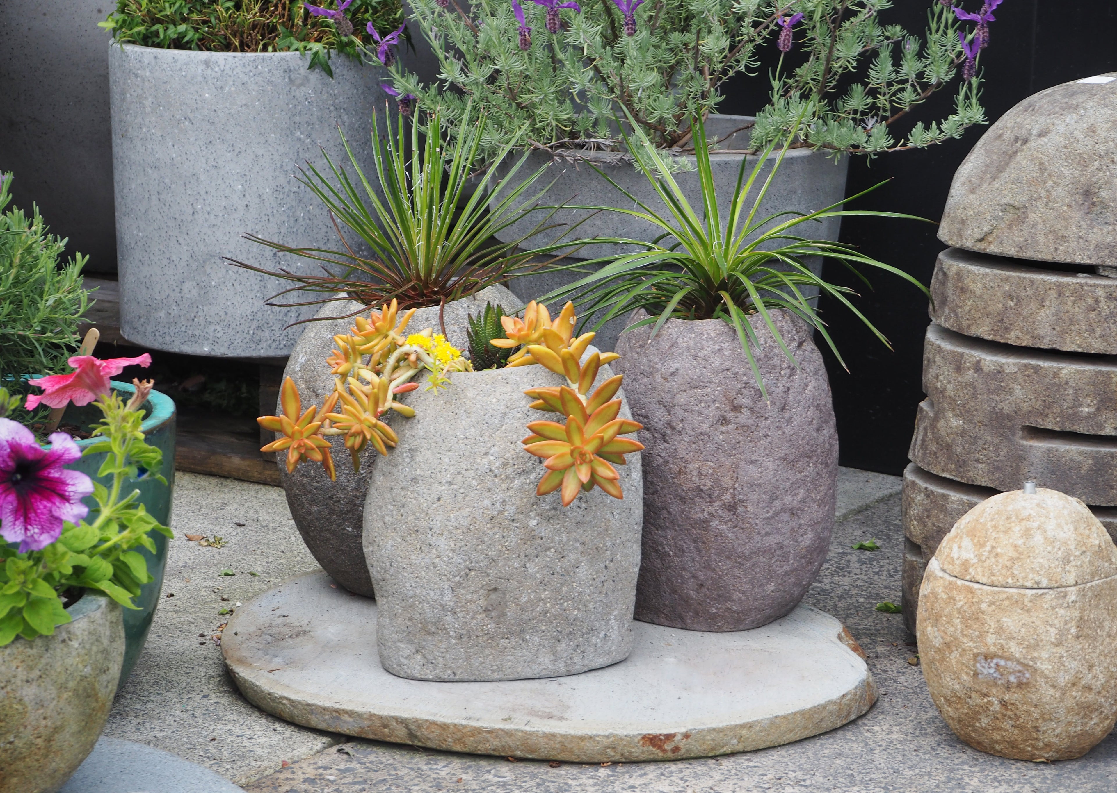 Organic Stone Pot Medium