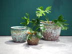 Small Atlantis Glaze Pots
