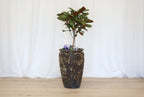Atlantis Glaze Pot Blue/Brown