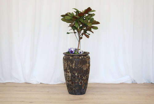 Atlantis Glaze Pot Blue/Brown