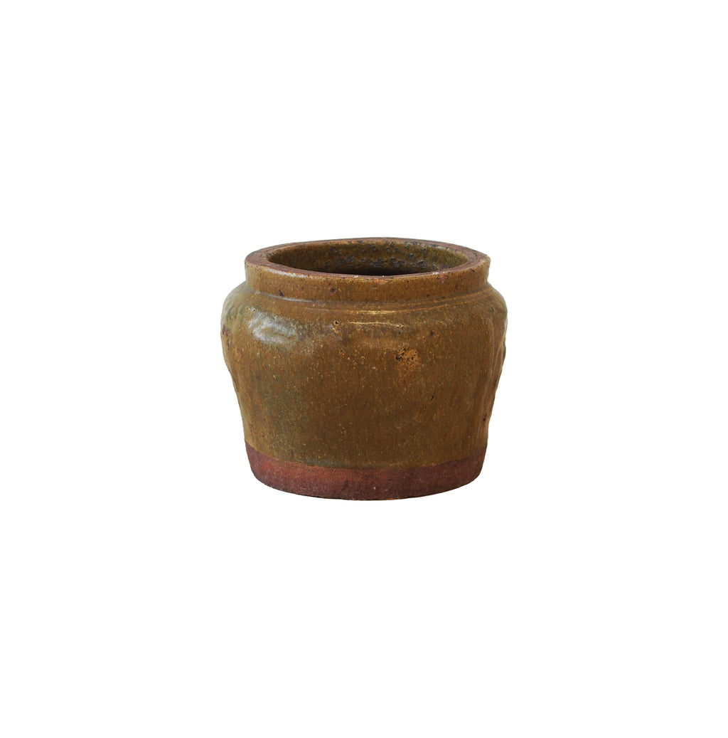 Pot Brown Borneo Small